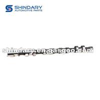 S1007L21153-50014 Camshaft Assy (Intake)