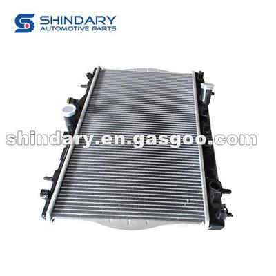 1301100U8020 Radiator Assy