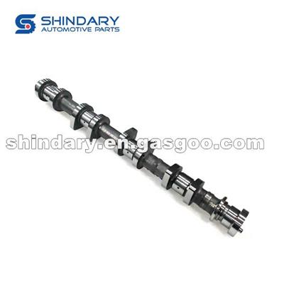 1006030GG010 Camshaft Assy Exhaust