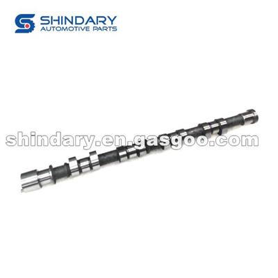 S1007L21153-50015 Camshaft Assy (Exhaust)