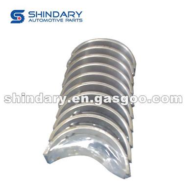 1000262-H01 Crankshaft Bearing