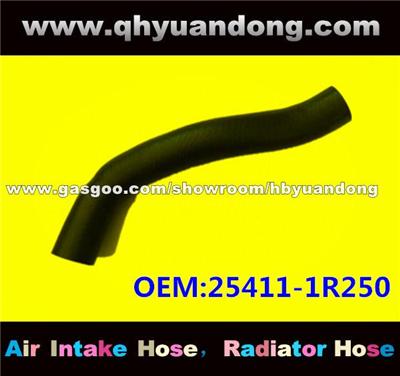 Radiator Hose 25411-1R250