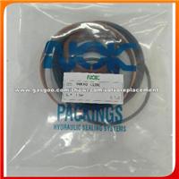Volvo Cyliner Repair Kits 11999894