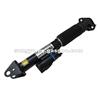 Damaged Rear Shock Absorber Drawing Comparison For W166 1663200130