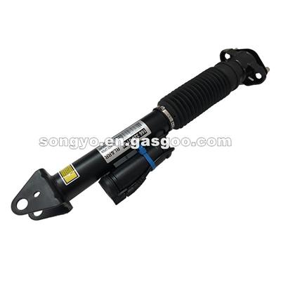 Damaged Rear Shock Absorber Drawing Comparison For W166 1663200130