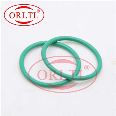 High-Performance Viton O Ring For Bocsh Piezo Injector