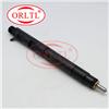 ORLTL 1100100-ED01 Delphi Fuel Injector 1100-100-ED01 Diesel Injectors For Great Wall