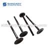 Intake Valve