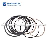 Piston Ring Kit