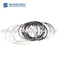 Piston Ring Kit