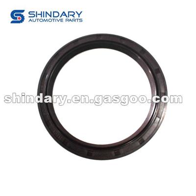 Crankshaft Rear Seal