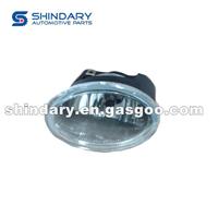 Front Fog Lamp L