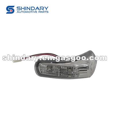 MIRROR TURN SIGNAL LIGHT RH