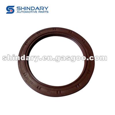 Crankshaft Rear Seal