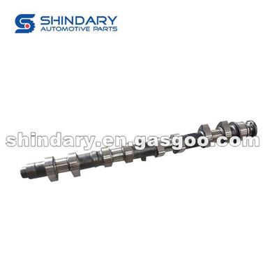 Camshaft Assy Intake E010110101