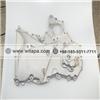 Oil Pump Assembly 1011100EG01 For Great Wall