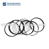 PISTON RINGS