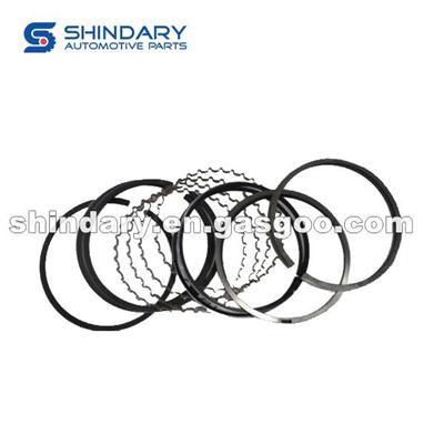 PISTON RINGS