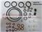 Fuel Injector Pump Rebuild Kit 096010-0541 For Injection Pump Repair Kit - img1