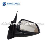 Right Wing Mirror