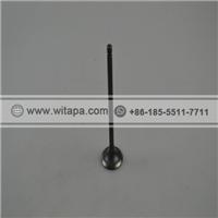 CHEVROLET SAIL Exhaust Valve 24102864