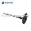 Intake Valve