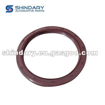 Crankshaft Rear Seal