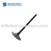 Intake Valve