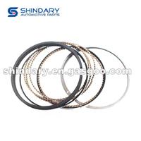 Piston Ring Kit