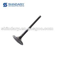 Intake Valve