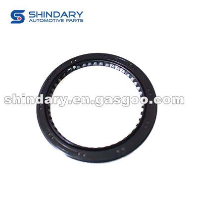 Crankshaft Rear Seal