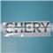 Signage A11-3921131 For Chery