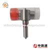 Agricultural Spray Nozzle Suppliers DSLA155P1235 For 12 Valve Injector Nozzles