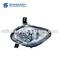 Front Fog Lamp L