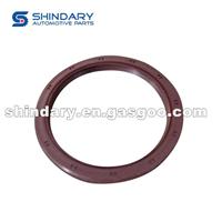 Crankshaft Rear Seal