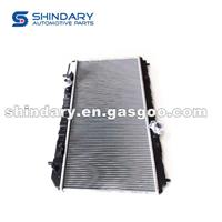 Radiator Assy