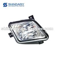 Front Fog Lamp,L