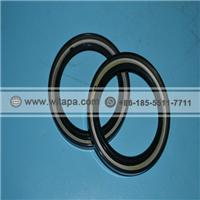 Changhe Curved Oil Seal 4621005901A