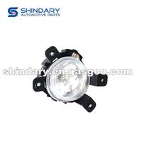 Left Front Fog Lamp