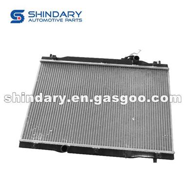 Radiator Assy