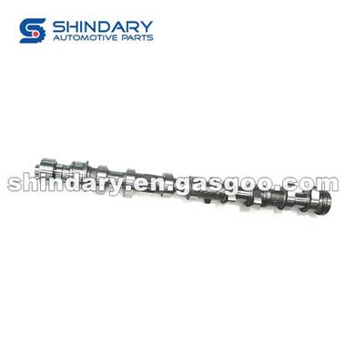 Camshaft Assy Exhaust