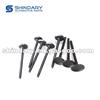 Intake Valve