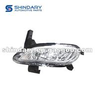 Front Fog Lamp 10071018