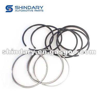 Piston Ring I