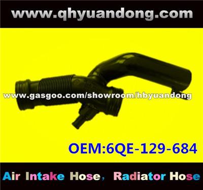 Air Intake Hose 6QE-129-684