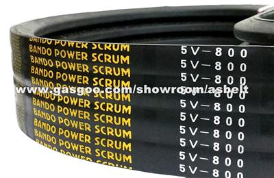 Bando Power Scrum Belt