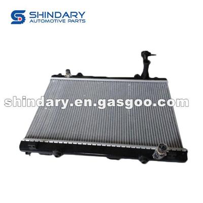 Radiator Assy