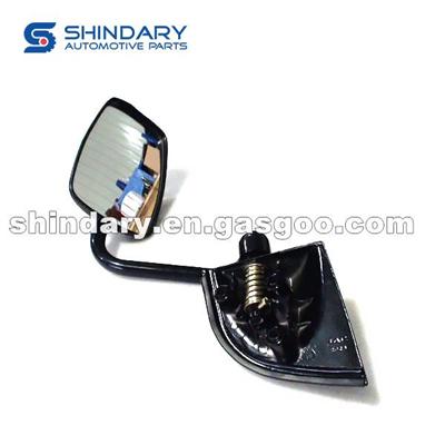 Side View Mirror LH