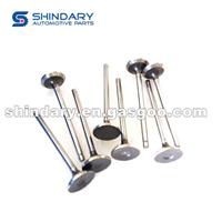 Exhaust Valve