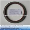 132* 160 *10 Oil Seal/ Shaft Seal ZF 0734319643 With 132* 160 *10 Used For Volvo